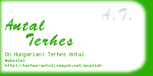 antal terhes business card